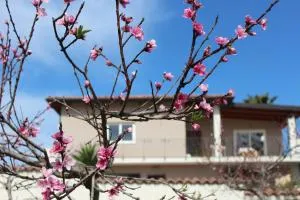 Residenza Anna Calabria - Conidoni