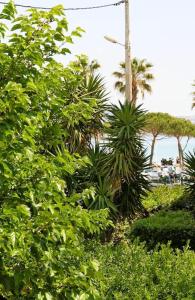 Blue Summer Vibes - Studio duplex 3 - AC, parking, beach at 50m, SPA discnt