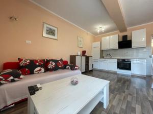 Apartments Duje Ribnica