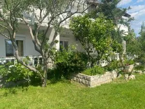 ground floor - Palit