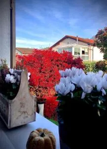 Olympia by the lake - Prilly