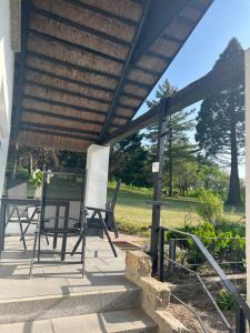 Naturidyll Mariendorf - Reethus Rotbuche