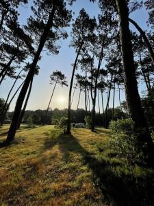 Tentes de luxe Tente Lodge Bouleau - La Teouleyre : photos des chambres