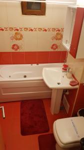 El Capitano Constanta Apart 2 camere