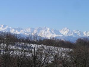 Maisons de vacances Haras Picard Du Sant Le Chalet : photos des chambres