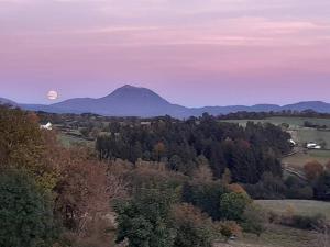 Maisons de vacances Nouveau Le Chant des Arbres : photos des chambres