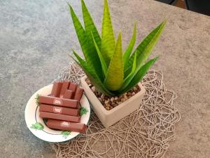 Apartment Loyd, Tolmin - Most na Soči 