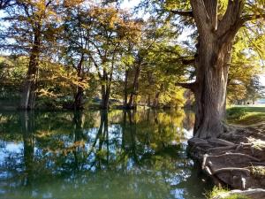 Cypress Star in Bandera