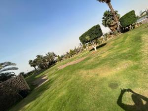 شقة علي النيل