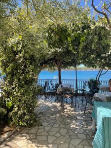 Apartments Vila Miranda on the beach 
