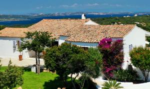 Smeralda Oasis img23