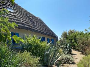 Maisons de vacances Ma Cabane en Camargue entre mer et campagne : photos des chambres