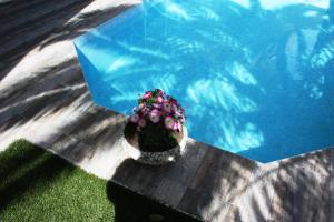 Hotel Cariatis Halkidiki Greece