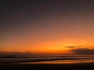 The Palmana Tropical Roofline Jayakarta Residence 50