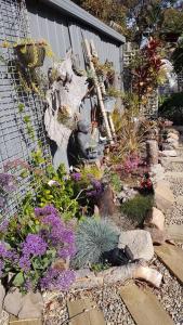 Dolphin Cottage Garden Studio