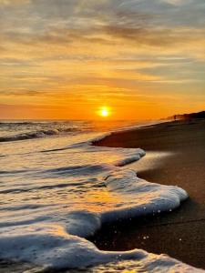 Casa Alquiler Cuchilla Alta 2