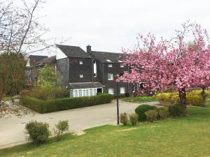 Auberge des 3 Fontaines - Youth Hostel