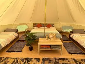 La Petite Cachette - Pressignac