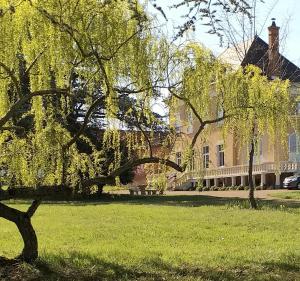 B&B / Chambres d'hotes DOMAINE BERENGUER : photos des chambres