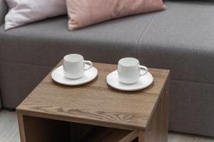 Kamienica Centrum Apartament nr 17