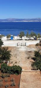 Apartments Zvonimir,place by the sea