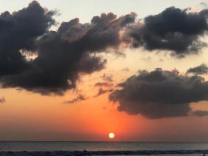 The Palmana Courtyard Jayakarta Residence 2