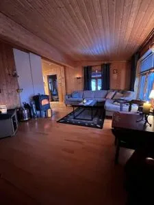 Cozy and spacious cabin - Jægervatnet