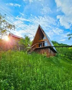 Căsuța Sofia - Slon