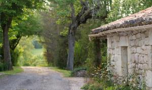 Maisons de vacances Mas Labrugade : photos des chambres