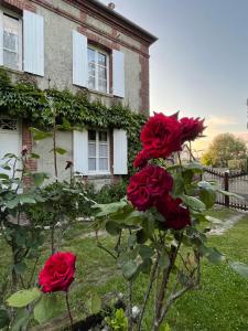 Villas ‘L’ editeur’ - Maison de Maitre Honfleuraise. : photos des chambres