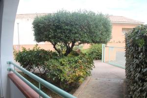 Appartements Grazioso bilocale a 200 m dal mare in residence con piscina e WI-FI : photos des chambres