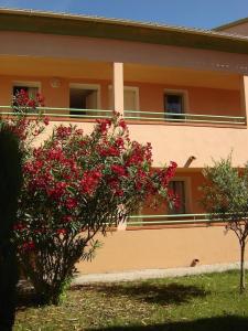 Appartements Grazioso bilocale a 200 m dal mare in residence con piscina e WI-FI : photos des chambres