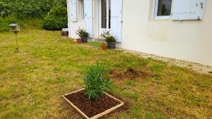 Sejours chez l'habitant Chez Guillaume : photos des chambres