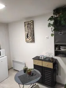 Chambre entrée indépendante - 洛代夫