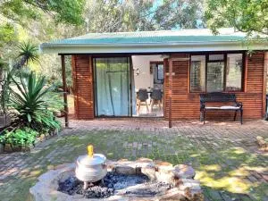 81 Kingfisher - Botrivier