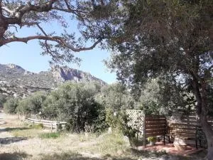 Kampos Rooms - Palaiochóra