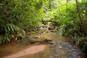Chalé Cabana com 3 cachoeiras - Mirante para montanhas, Espaço Gourmet Caipira