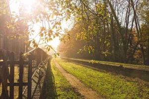 Whitwell and Reepham Station - Meadow View