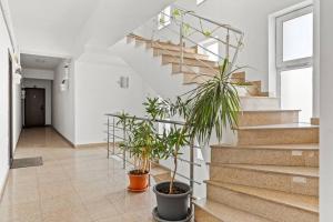 Spacious Central 3 Rooms