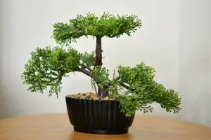 Apartman Noa - Dabar