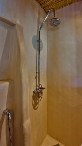 Gratelia Studio Damnoni