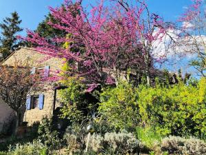 Maisons de vacances La Fenouillere : photos des chambres