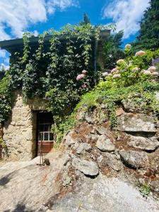 Maisons de vacances La Fenouillere : photos des chambres