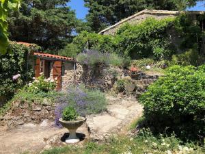 Maisons de vacances La Fenouillere : photos des chambres