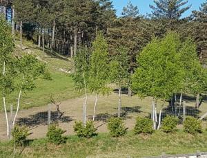 Tentes de luxe Domaine de l'Auspeliere : photos des chambres