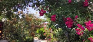 Maison d'hôtes Coeur d'Hérault - Gîte et Chambres d'hôtes - SPA & Massages