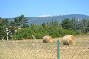 Maisons de vacances Les fadas du Ventoux : photos des chambres