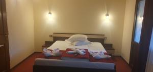 Superior Double Room room in Pensiunea Cezar-Codrin