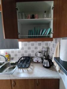 Μοντέρνο διαμέρισμα της Τατίανας