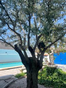 Villas Belle villa avec piscine et patio proche Montpellier : photos des chambres